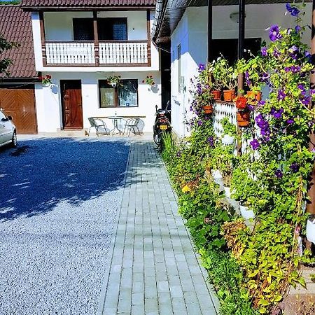 Casa Sallai Apartment Sovata Bagian luar foto