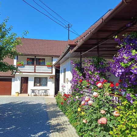 Casa Sallai Apartment Sovata Bagian luar foto