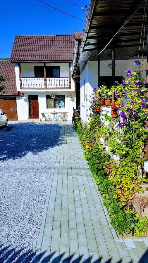 Casa Sallai Apartment Sovata Bagian luar foto
