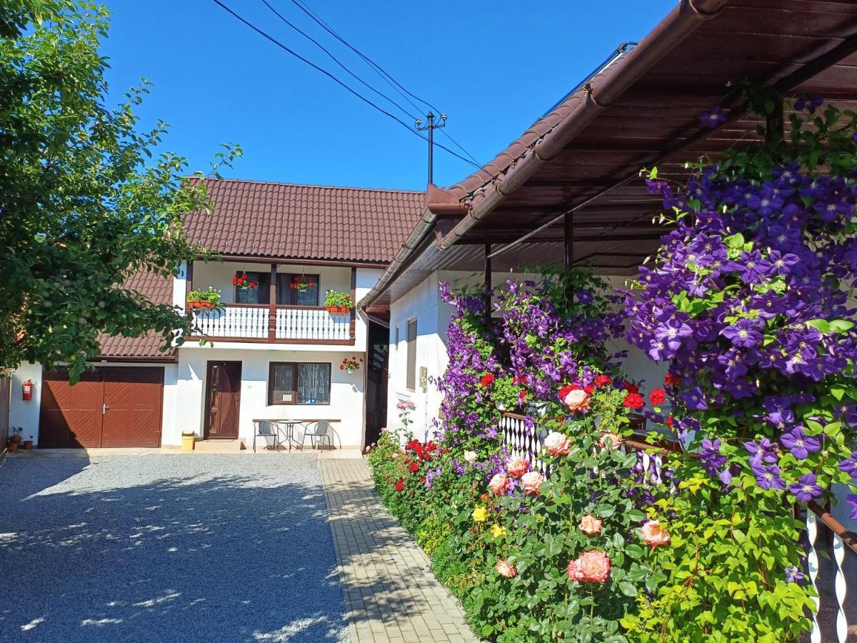 Casa Sallai Apartment Sovata Bagian luar foto